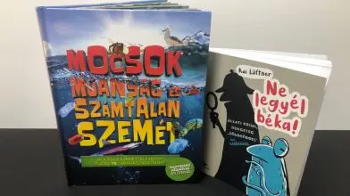 Gyerekkönyvek karácsonyra a Greendex ajánlásával