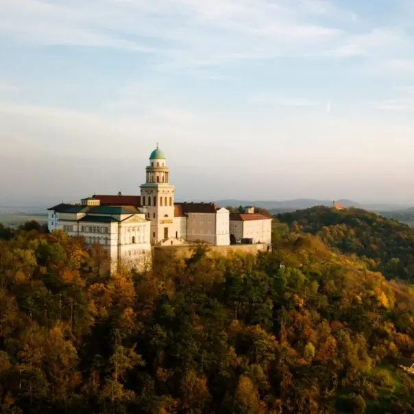 Rovarinvázió miatt átmenetileg bezár a Pannonhalmi Főapátsági Könyvtár