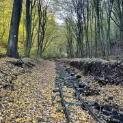A Csarna-völgy különleges őserdejében jártunk