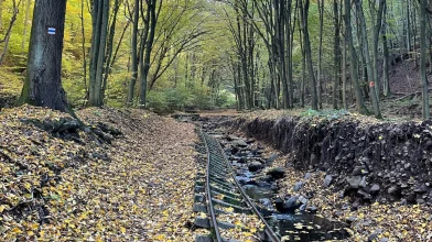 A Csarna-völgy különleges őserdejében jártunk