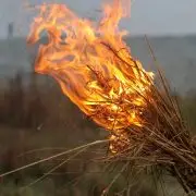 Gyümölcsösöd van? Jobb, ha alágyújtasz!