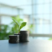 Véget vetnének a környezetpusztító cégek titkolózásának