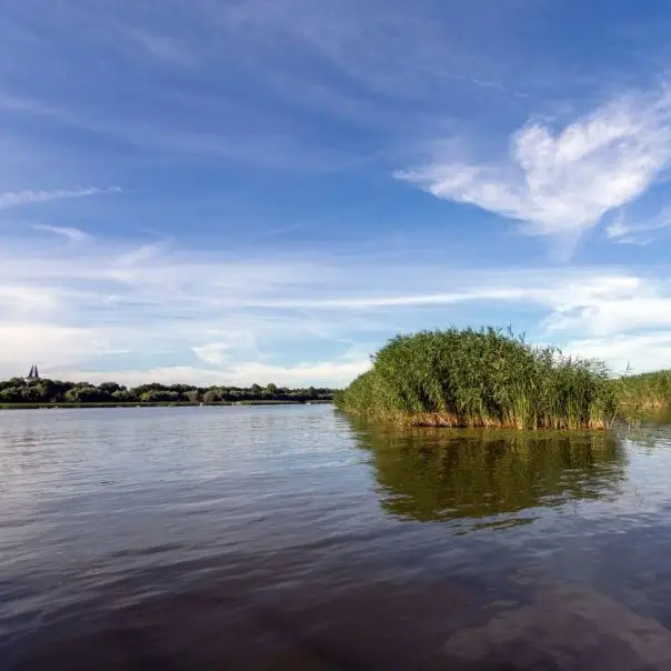 Indul a Tisza-tó történetének egyik legnagyobb haltelepítése
