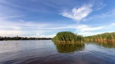 Indul a Tisza-tó történetének egyik legnagyobb haltelepítése
