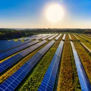 Hogyan válhatnak megújuló energiaforrásokká a műlevelek?