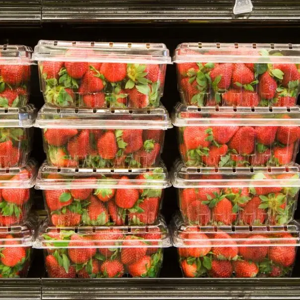 Aki szezon előtt vesz epret, nemcsak a környezet tönkretételében, de a rabszolgaság támogatásában is cinkostárssá válhat!