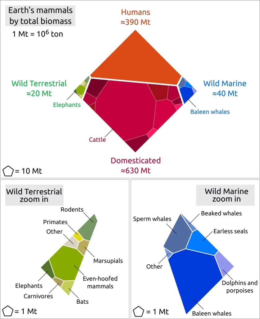 emlősök teljes biomasszája