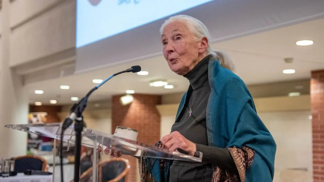 Jane Goodall: „Mindenre van megoldás, és ezt makacsul keresem is!”