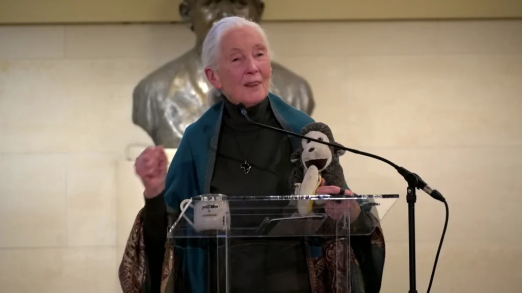 Jane Goodall