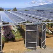 Mégsem kell éhen halnunk a napenergia miatt?