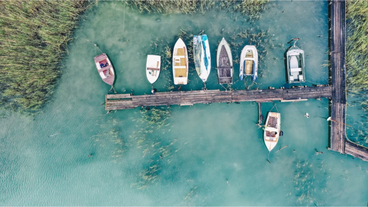 Petíció indult a Balaton megmentéséért 