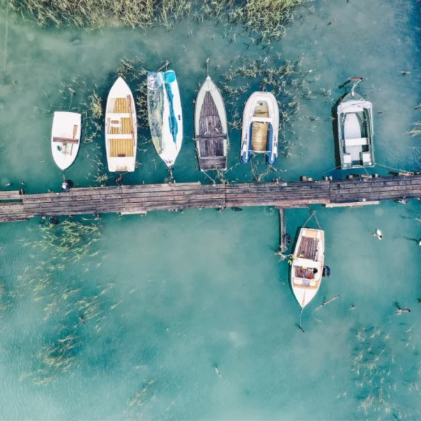 Petíció indult a Balaton megmentéséért