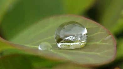 Esőillat, hal, bor és cékla – Ismerd meg a geozmint!