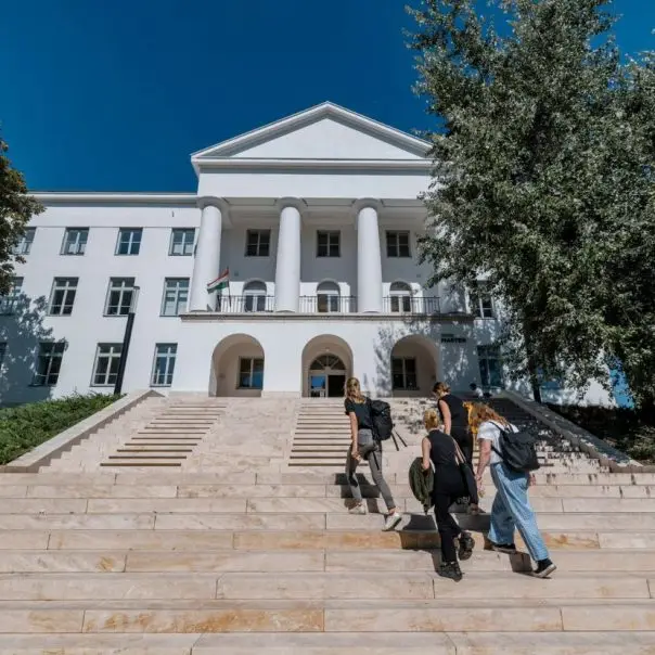 Növényporzó denevérek, a jövő múzeuma és egy vadonatúj iskolakoncepció