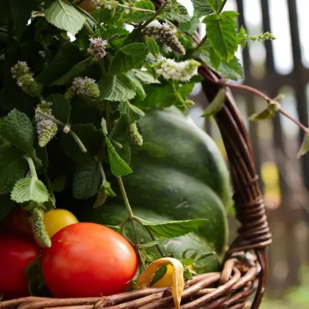 A helyi termékekről és az agroturisztikai lehetőségekről is felmérés készül