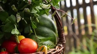A helyi termékekről és az agroturisztikai lehetőségekről is felmérés készül