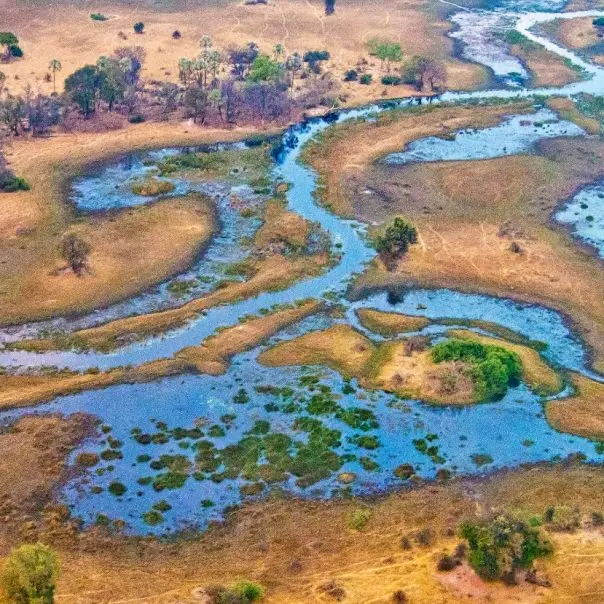 Riasztó adatok láttak napvilágot a biodiverzitás és a gazdaság kapcsolatáról