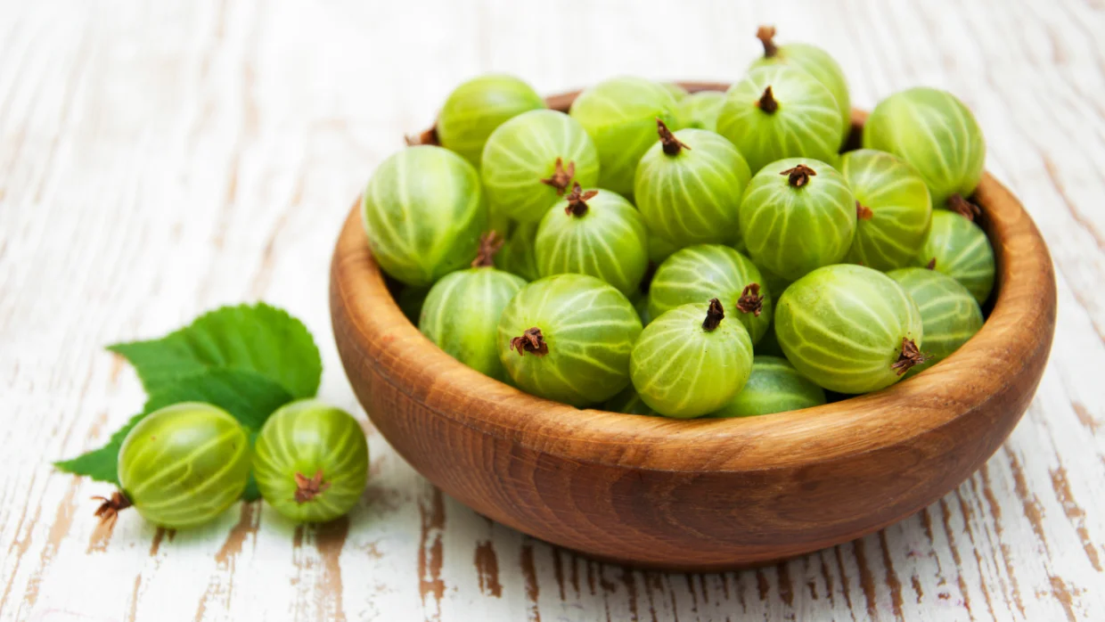 Köszméte, avagy a vitaminokban gazdag egres