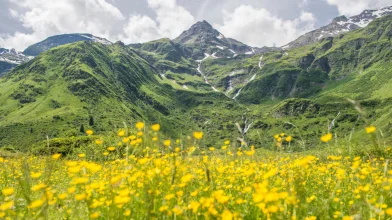 Fenntartható viselkedés a nyári Ausztriában
