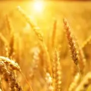 Több mint harmincezren keresték fel az idei Farmer Expót Debrecenben