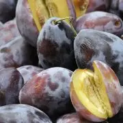 Gyengébb lesz az idei szilvatermés