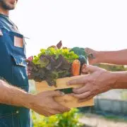 Kiemelt támogatást kapnak a fenntartható agrárélelmezési rendszerek