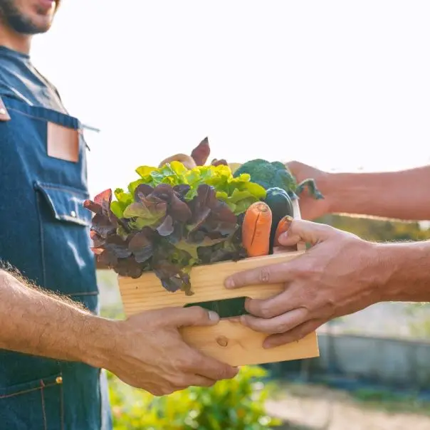 Kiemelt támogatást kapnak a fenntartható agrárélelmezési rendszerek