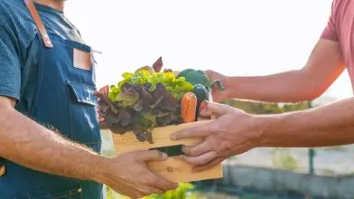 Kiemelt támogatást kapnak a fenntartható agrárélelmezési rendszerek