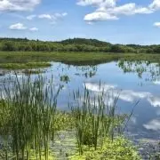 Bemutatjuk második legnagyobb tavunkat: ez a Tisza-tó