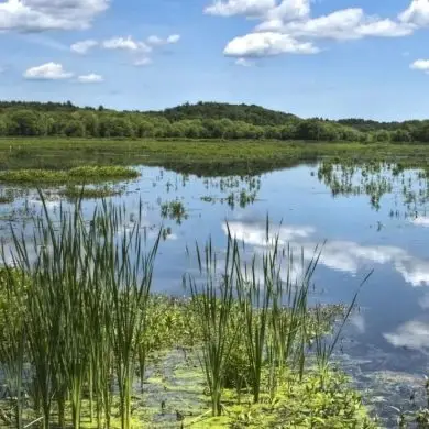 Biztonságos Tisza-tavat! – Programajánló