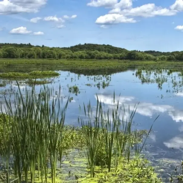 El kell érni, hogy maradjon víz és élet a Tisza-völgyben