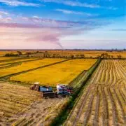 Jövőnk záloga az agrár felsőoktatás