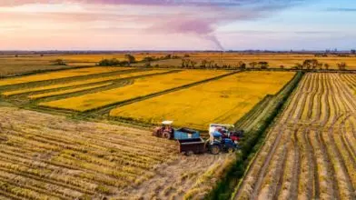 Jövőnk záloga az agrár felsőoktatás