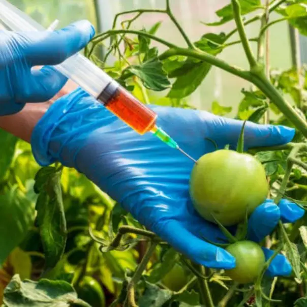 Hazánk kiáll a GMO-mentesség mellett