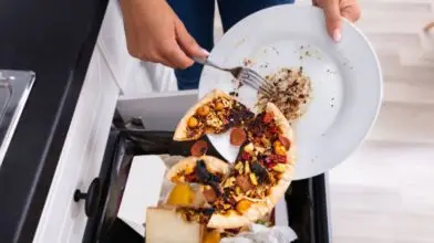 Évi több tízezer forintot spórolhatnánk az élelmiszerpazarlás csökkentésével