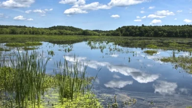 Biztonságos Tisza-tavat! – Programajánló
