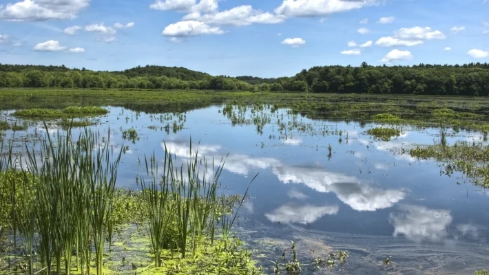 Bemutatjuk második legnagyobb tavunkat: ez a Tisza-tó