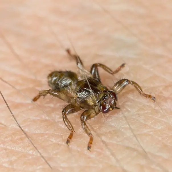 Új faj hívta fel magára a kutatók figyelmét