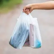 Fél év kellett a műanyag zacskók lebomlásához
