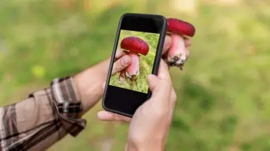 5 + 1 mobilapplikáció a természet szerelmeseinek