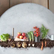 Milyen volt a paleo étrend, és mi köze ennek a fenntarthatóbb élelmezéshez?