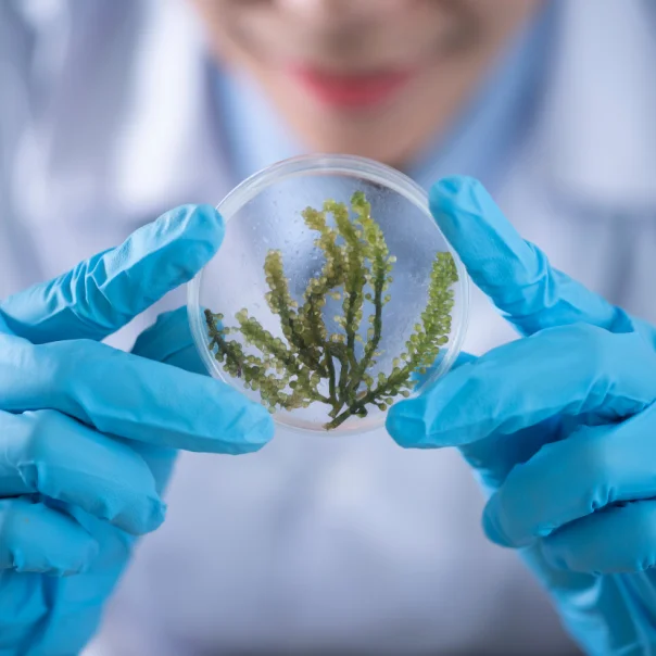 Megnyílt a World Science Forum 2024