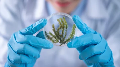 Megnyílt a World Science Forum 2024