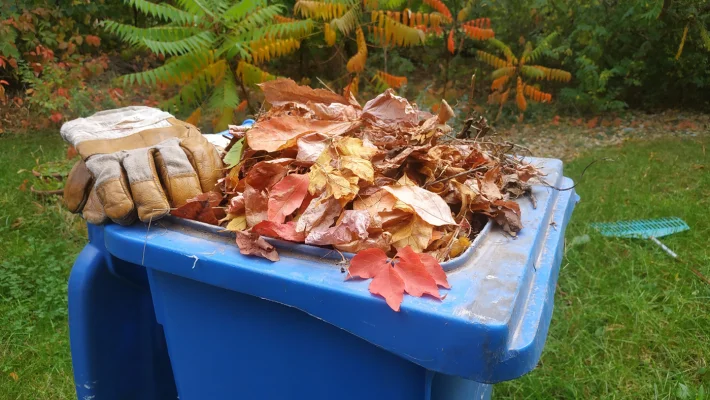 Kukába gyűrt őszi lombok, bezsákolt élővilág