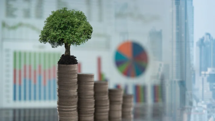 Hogyan finanszírozzam a cégemet?