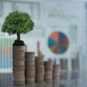 Hogyan finanszírozzam a cégemet?