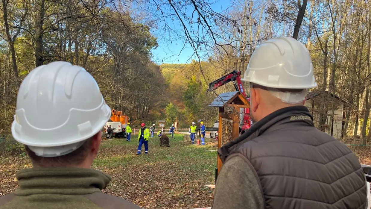Több erdő és biztosabb áramellátás – így is kinézhet egy fejlesztési projekt