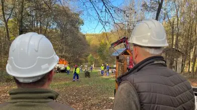 Több erdő és biztosabb áramellátás – így is kinézhet egy fejlesztési projekt