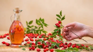 A természet patikája mindenki előtt nyitva áll: csipkebogyószüretre fel!