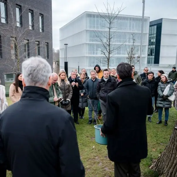 Erdőtelepítéssel célozza be a karbonsemlegességet a MOME